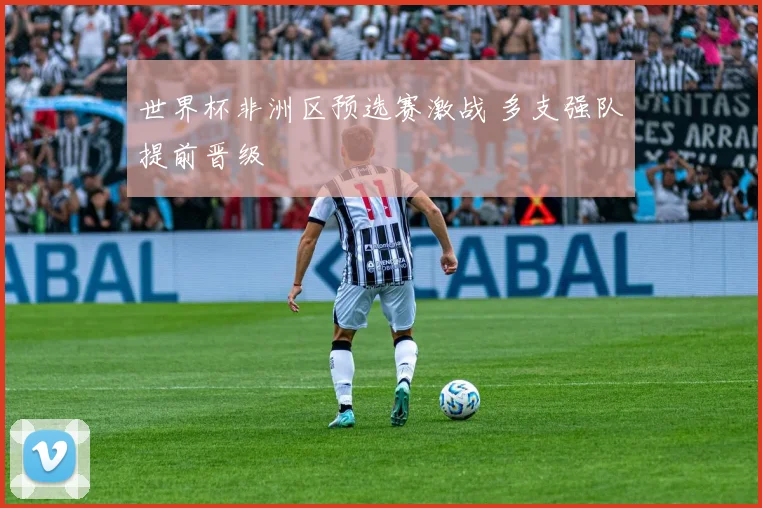世界杯非洲区预选赛激战 多支强队提前晋级
